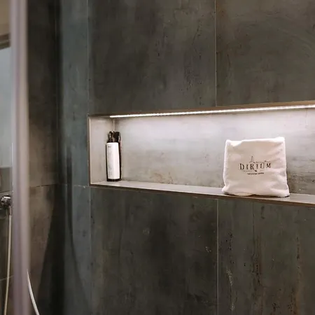 Dirium - Exclusive 게스트하우스 4*