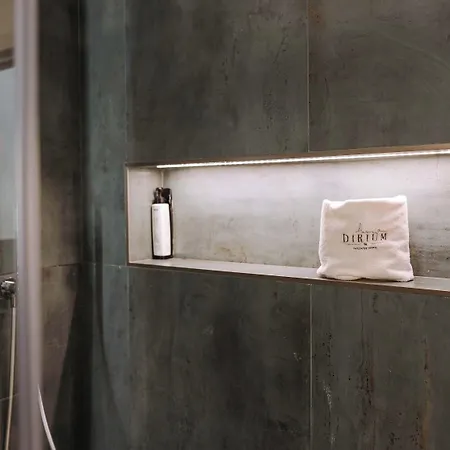 Dirium - Exclusive 게스트하우스 4*